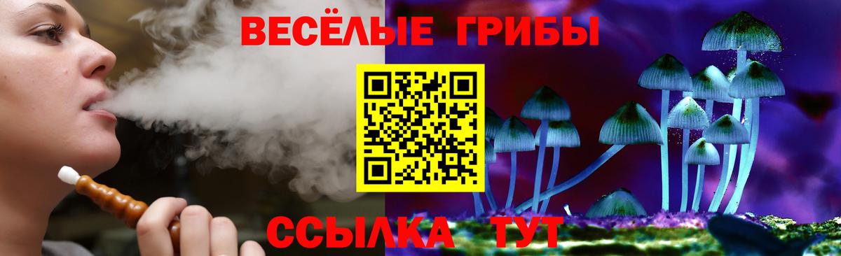 Галлюциногенные грибы прущие грибы Сальск